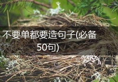 不要单都要造句子(必备50句)