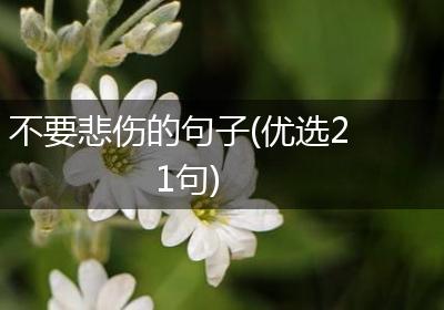 不要悲伤的句子(优选21句)