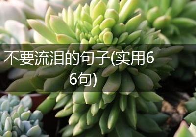 不要流泪的句子(实用66句)