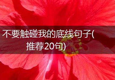 不要触碰我的底线句子(推荐20句)
