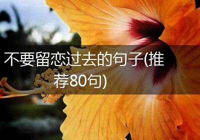不要留恋过去的句子(推荐80句)