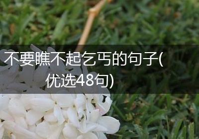 不要瞧不起乞丐的句子(优选48句)