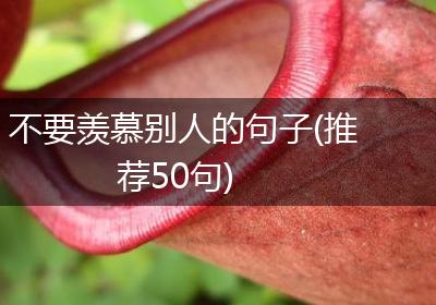 不要羡慕别人的句子(推荐50句)