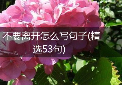 不要离开怎么写句子(精选53句)