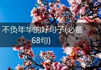 不负年华的好句子(必备68句)