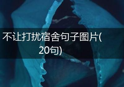 不让打扰宿舍句子图片(20句)