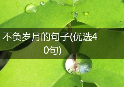 不负岁月的句子(优选40句)