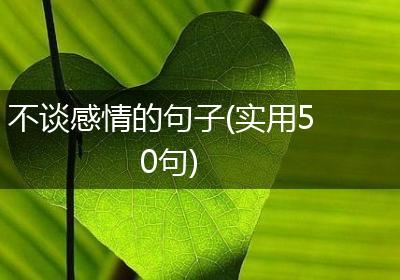 不谈感情的句子(实用50句)