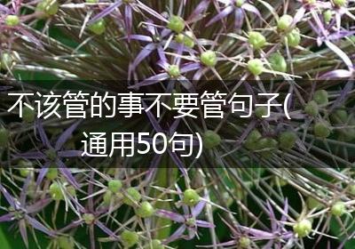 不该管的事不要管句子(通用50句)