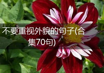 不要重视外貌的句子(合集70句)