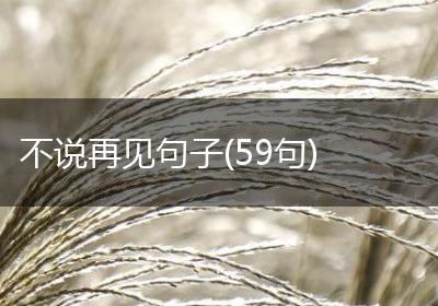 不说再见句子(59句)