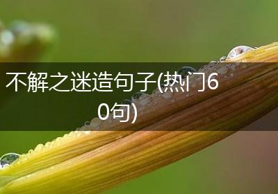 不解之迷造句子(热门60句)