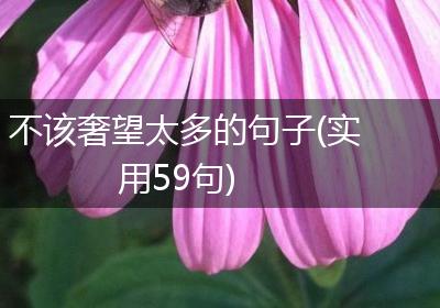 不该奢望太多的句子(实用59句)
