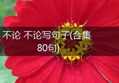 不论 不论写句子(合集80句)