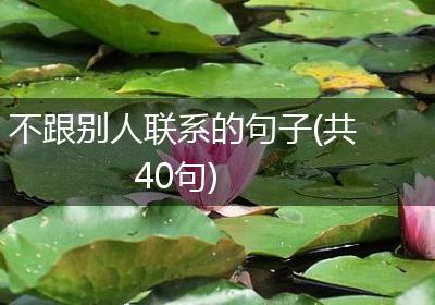 不跟别人联系的句子(共40句)