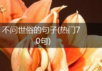 不问世俗的句子(热门70句)