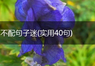 不配句子迷(实用40句)
