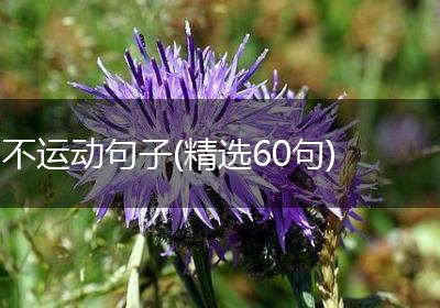 不运动句子(精选60句)