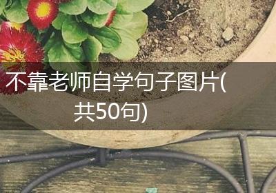 不靠老师自学句子图片(共50句)
