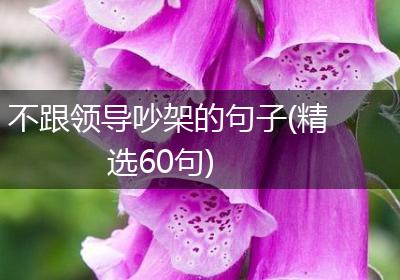 不跟领导吵架的句子(精选60句)