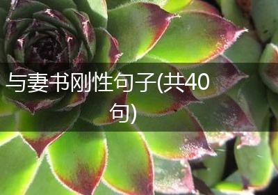 与妻书刚性句子(共40句)