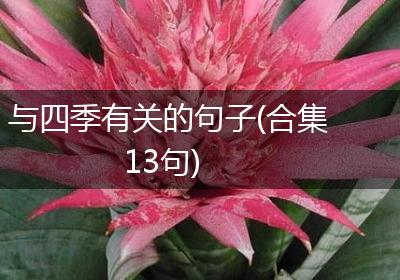 与四季有关的句子(合集13句)