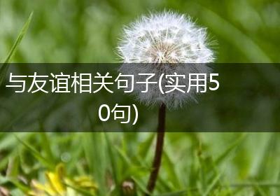 与友谊相关句子(实用50句)