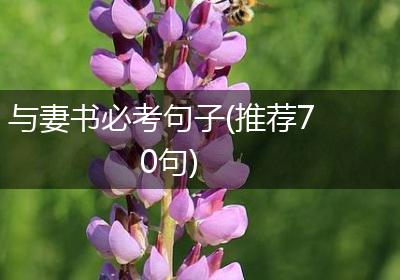 与妻书必考句子(推荐70句)