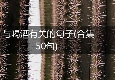与喝酒有关的句子(合集50句)
