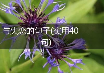 与失恋的句子(实用40句)