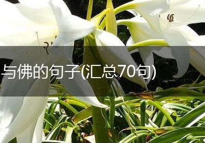 与佛的句子(汇总70句)