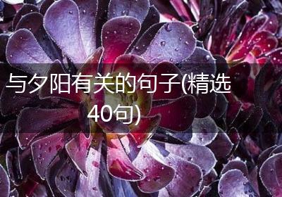 与夕阳有关的句子(精选40句)
