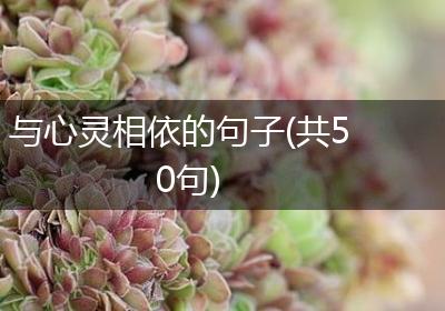 与心灵相依的句子(共50句)
