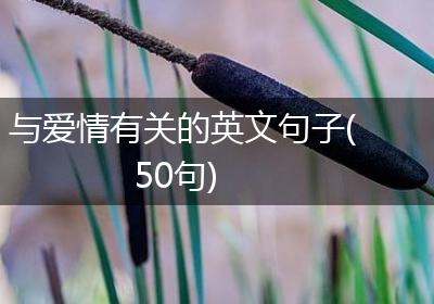 与爱情有关的英文句子(50句)