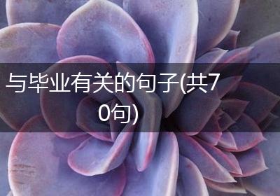 与毕业有关的句子(共70句)