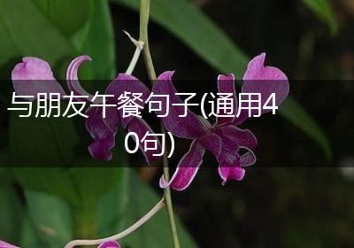 与朋友午餐句子(通用40句)