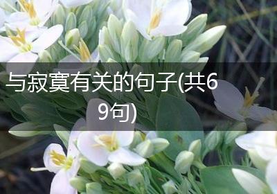 与寂寞有关的句子(共69句)