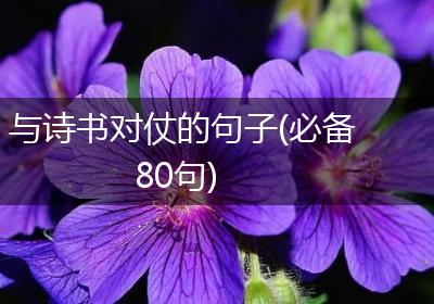 与诗书对仗的句子(必备80句)