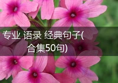 专业 语录 经典句子(合集50句)