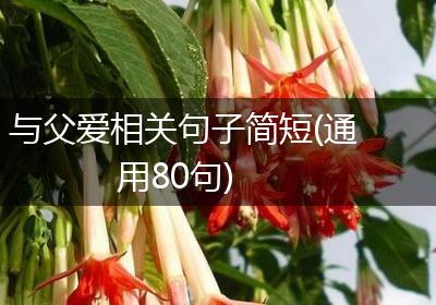 与父爱相关句子简短(通用80句)