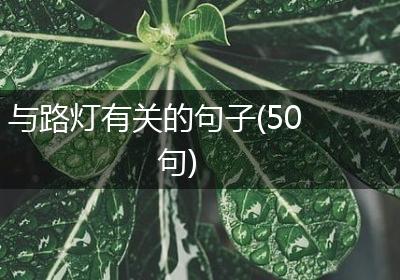 与路灯有关的句子(50句)