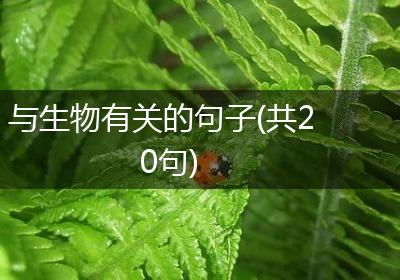 与生物有关的句子(共20句)
