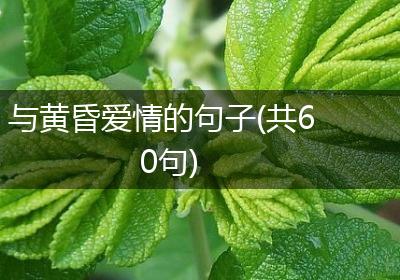 与黄昏爱情的句子(共60句)