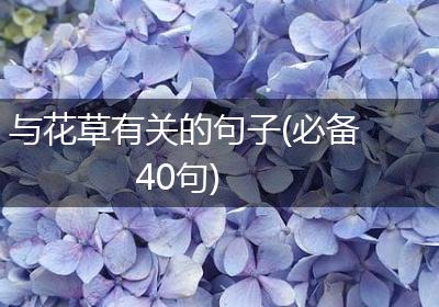与花草有关的句子(必备40句)