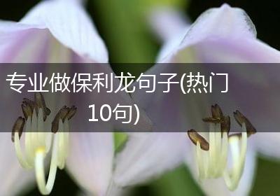 专业做保利龙句子(热门10句)
