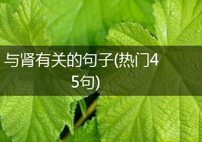 与肾有关的句子(热门45句)