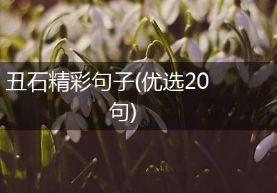 丑石精彩句子(优选20句)