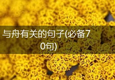 与舟有关的句子(必备70句)