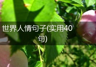 世界人情句子(实用40句)