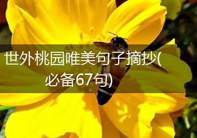 世外桃园唯美句子摘抄(必备67句)